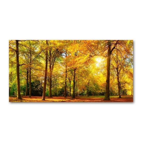 Print on acrylic Forest in autumn