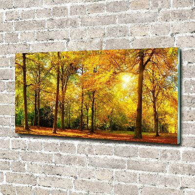 Print on acrylic Forest in autumn