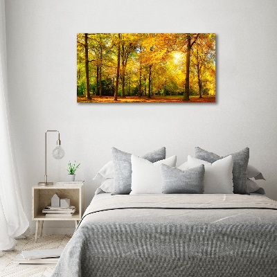 Print on acrylic Forest in autumn