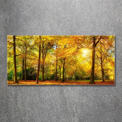 Print on acrylic Forest in autumn