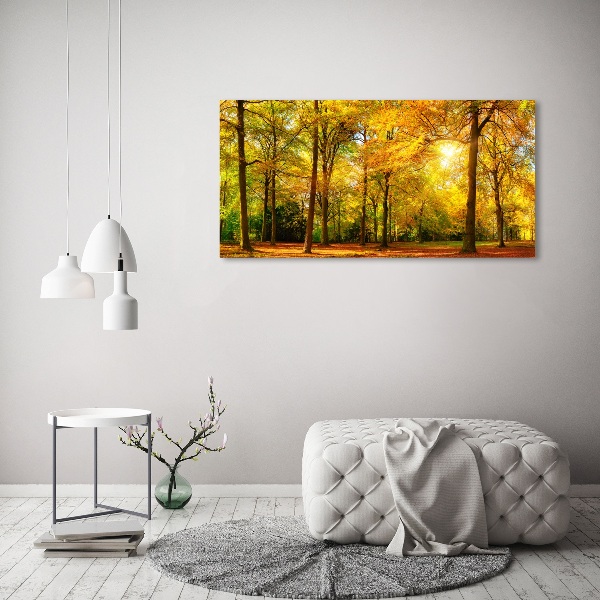 Print on acrylic Forest in autumn