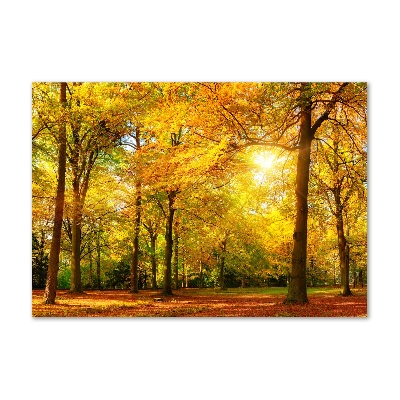 Print on acrylic Forest in autumn