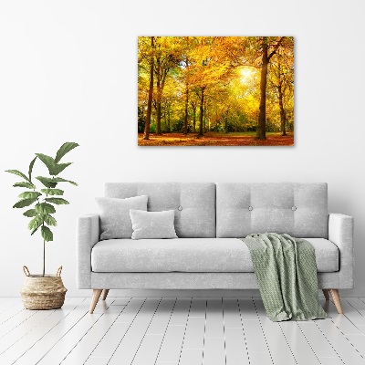 Print on acrylic Forest in autumn