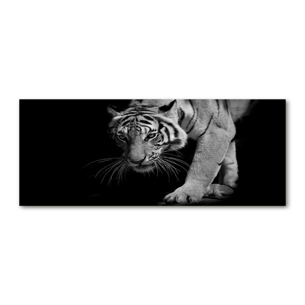 Acrylic wall art Tiger