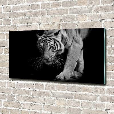 Acrylic wall art Tiger