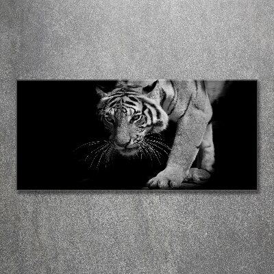 Acrylic wall art Tiger