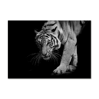 Acrylic wall art Tiger