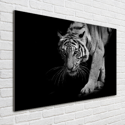 Acrylic wall art Tiger