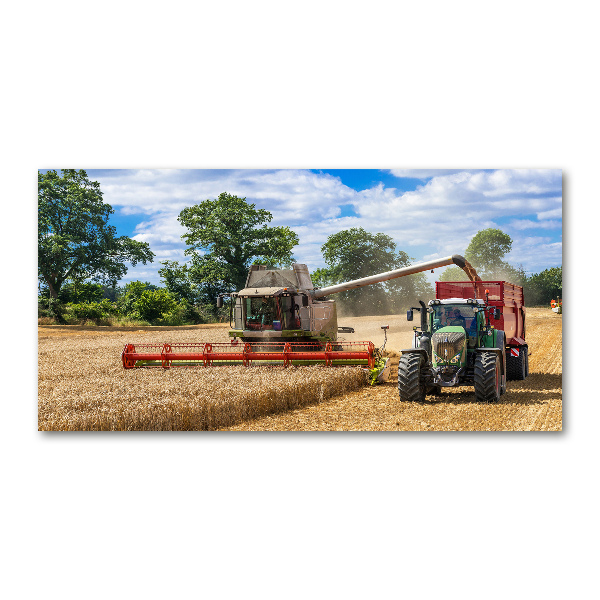 Acrylic print Harvester and tractor