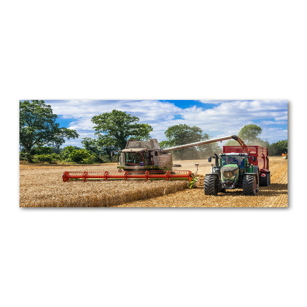 Acrylic print Harvester and tractor