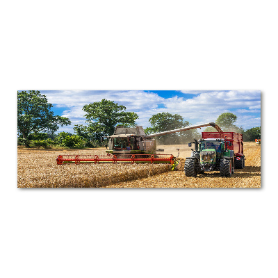 Acrylic print Harvester and tractor