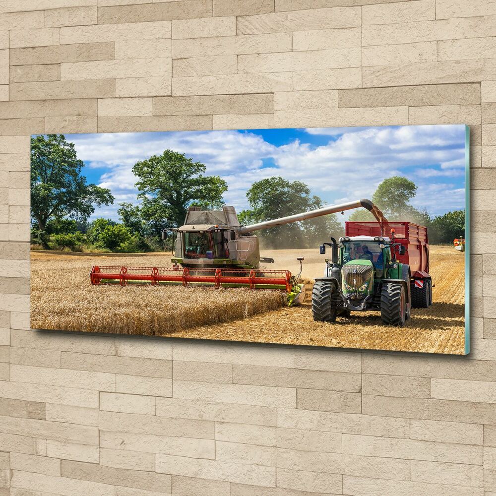 Acrylic print Harvester and tractor