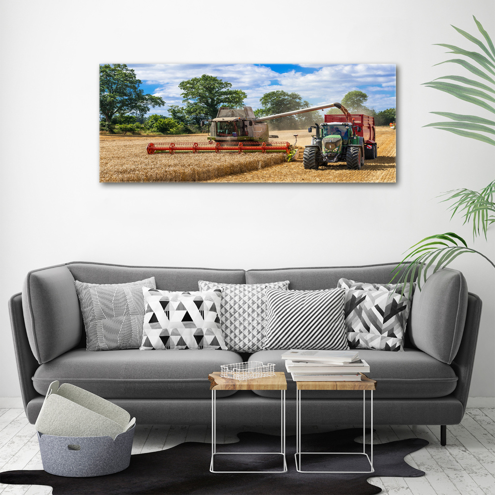 Acrylic print Harvester and tractor