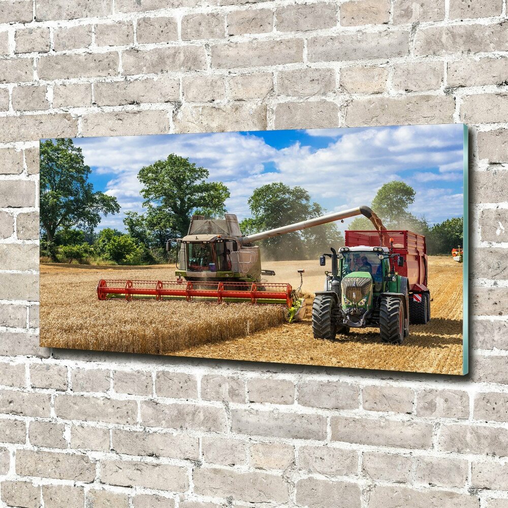 Acrylic print Harvester and tractor