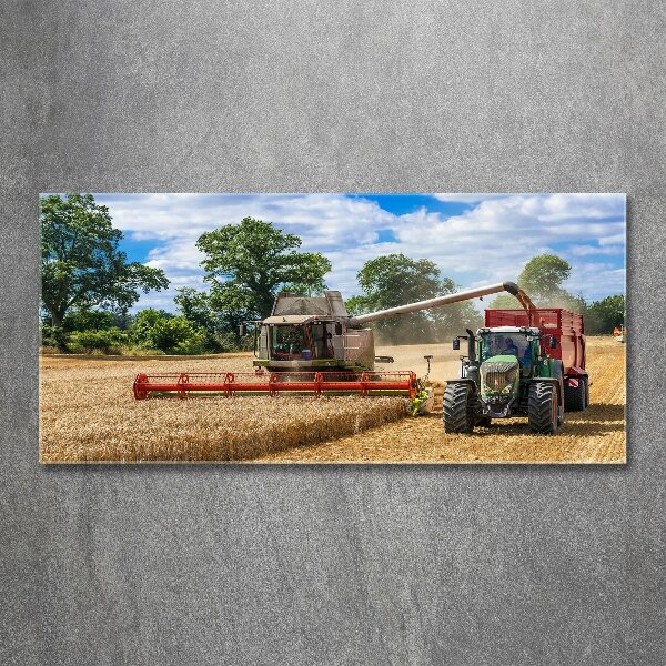 Acrylic print Harvester and tractor