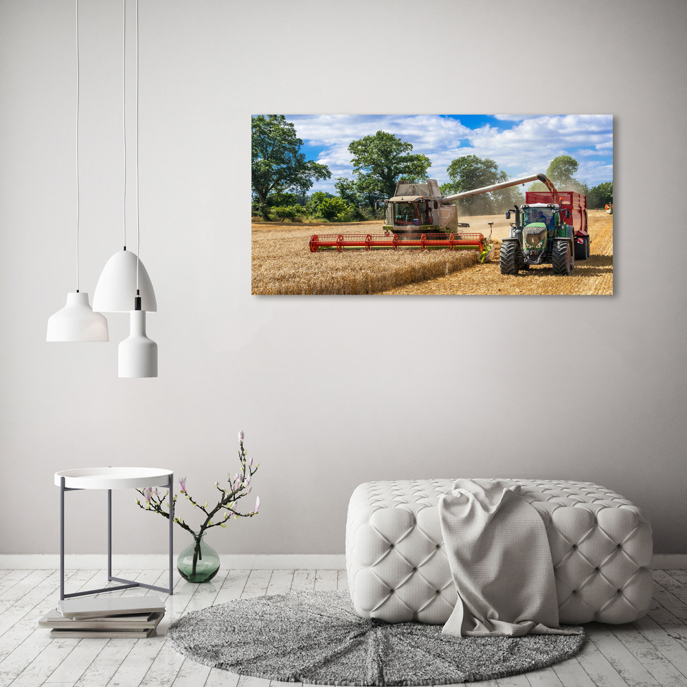 Acrylic print Harvester and tractor