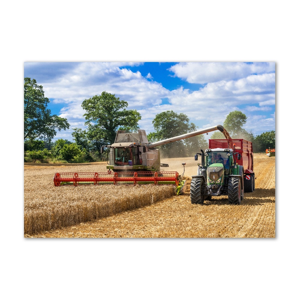 Acrylic print Harvester and tractor