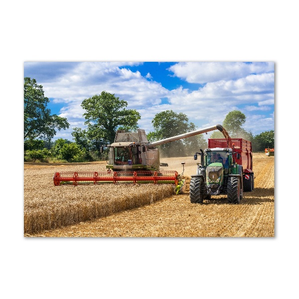 Acrylic print Harvester and tractor