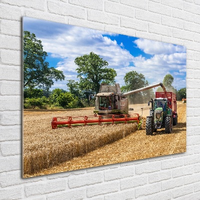 Acrylic print Harvester and tractor