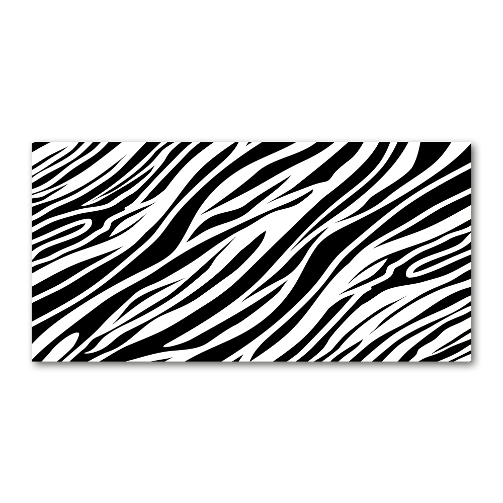 Acrylic wall art Zebra background