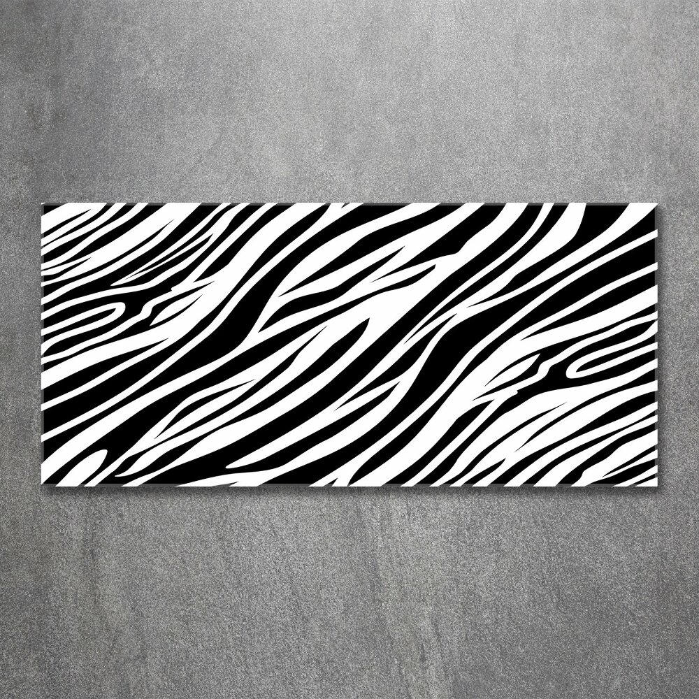 Acrylic wall art Zebra background