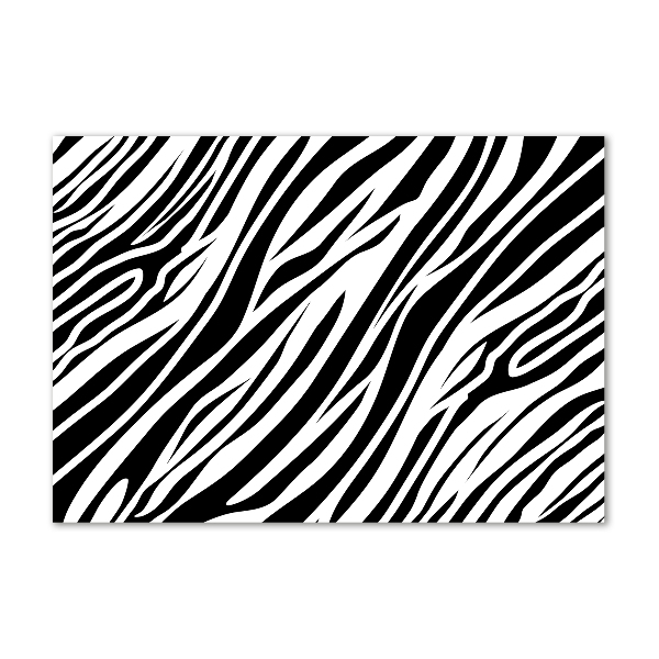 Acrylic wall art Zebra background