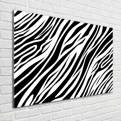 Acrylic wall art Zebra background