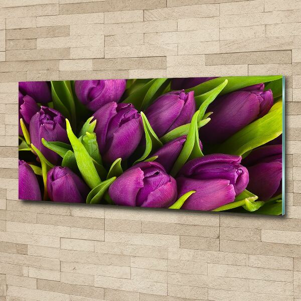 Print on acrylic Violet tulips