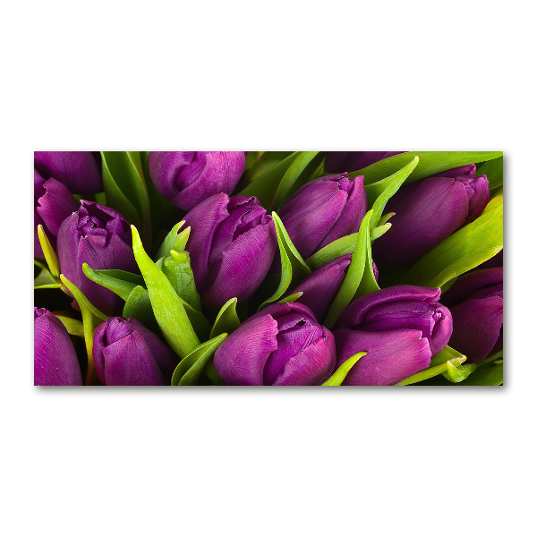 Print on acrylic Violet tulips