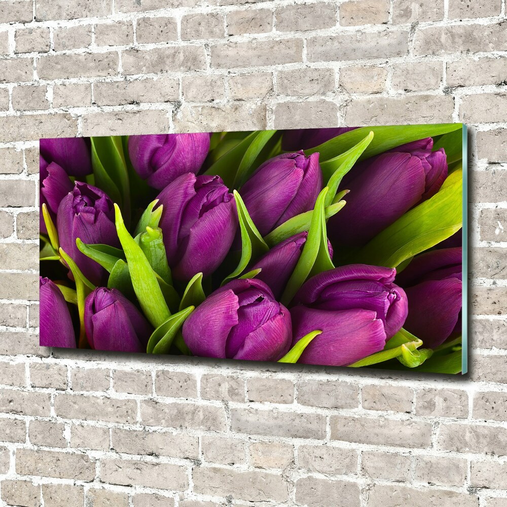 Print on acrylic Violet tulips