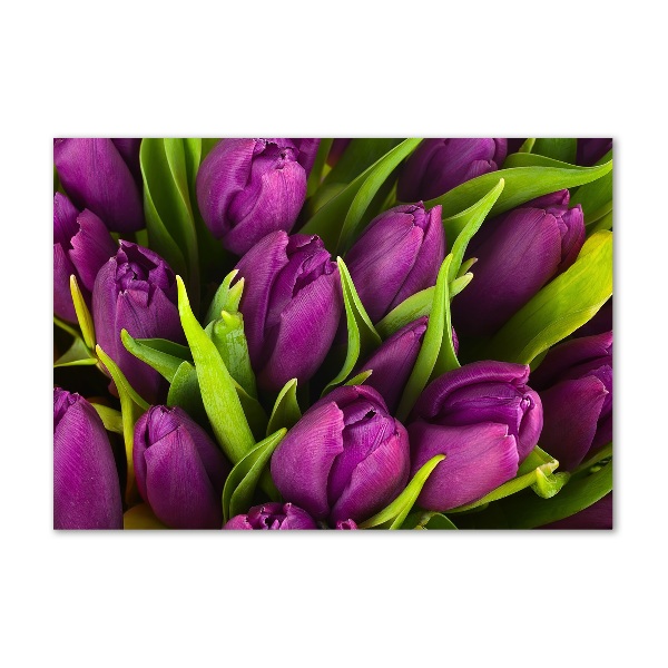 Print on acrylic Violet tulips