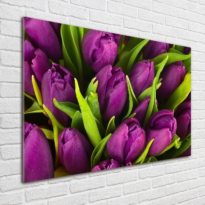 Print on acrylic Violet tulips