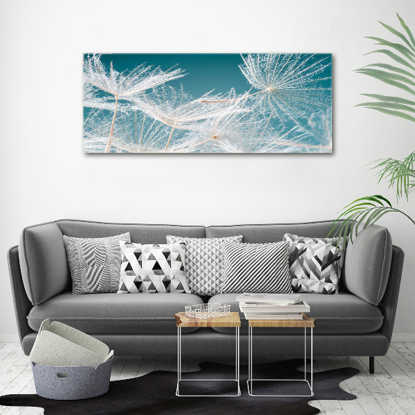 Print on acrylic Dandelion seeds