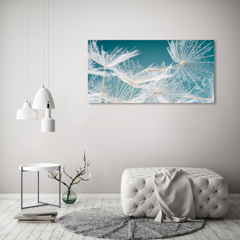 Print on acrylic Dandelion seeds