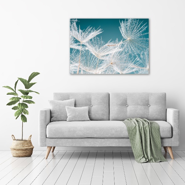 Print on acrylic Dandelion seeds