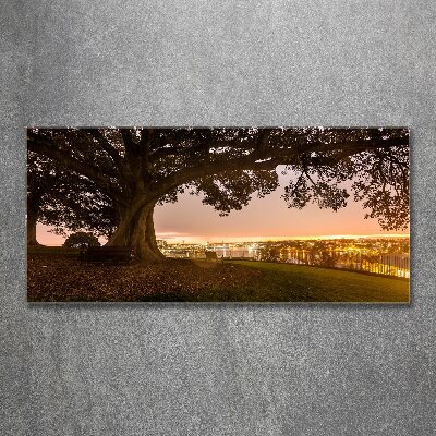 Wall art acrylic Old tree