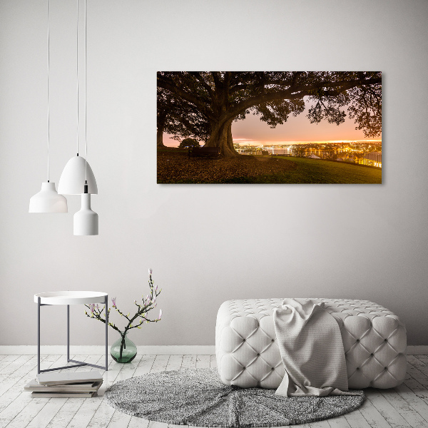 Wall art acrylic Old tree