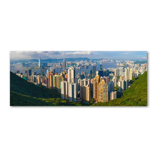 Acrylic wall art Hong Kong Panorama