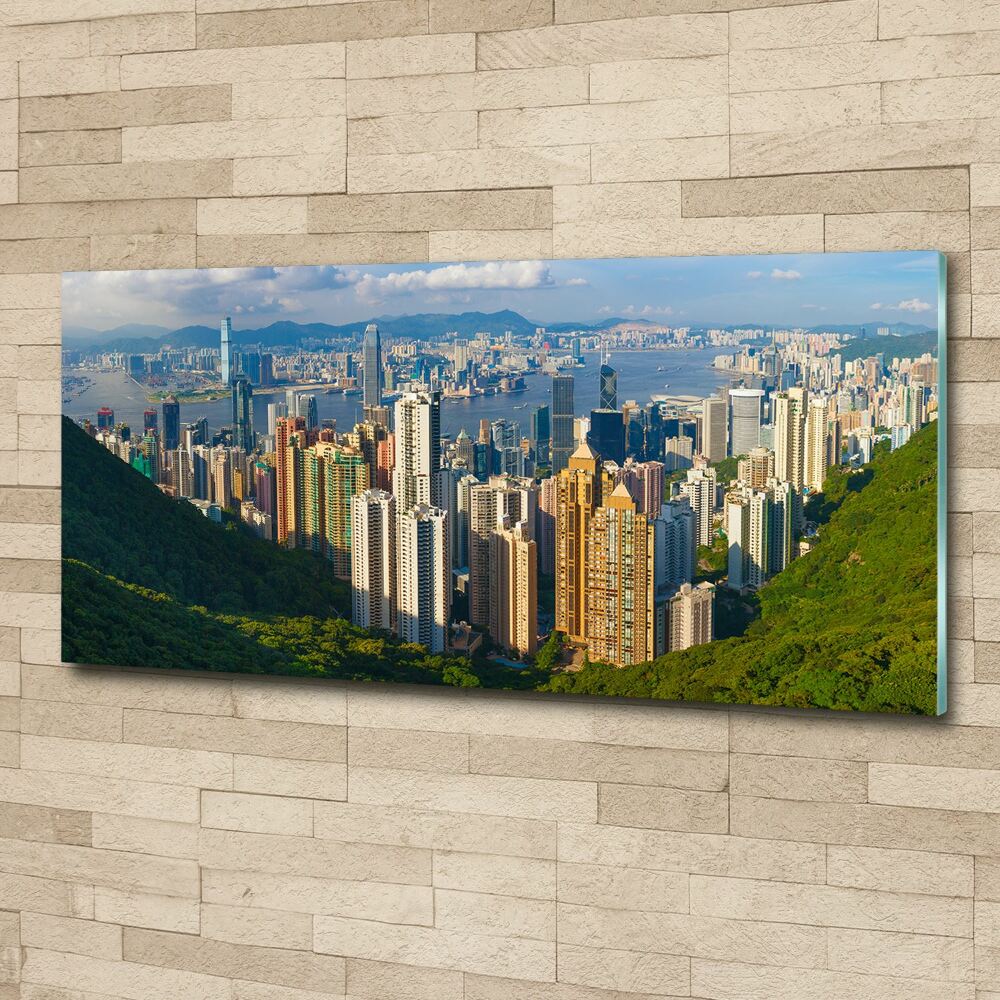 Acrylic wall art Hong Kong Panorama