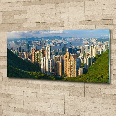 Acrylic wall art Hong Kong Panorama