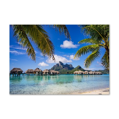 Acrylic print Palms on Bora Bora