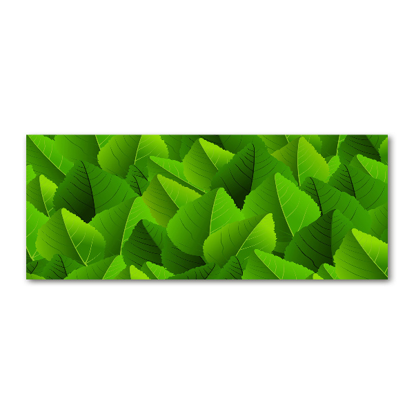 Acrylic print Green leaves