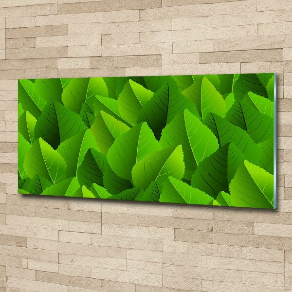 Acrylic print Green leaves