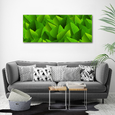 Acrylic print Green leaves