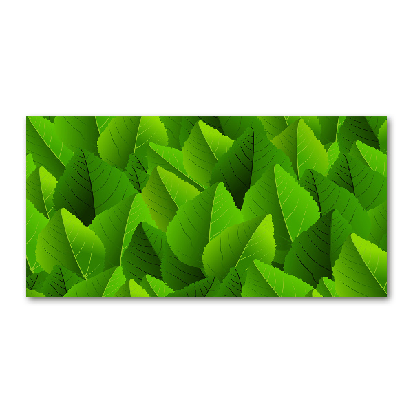 Acrylic print Green leaves