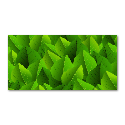 Acrylic print Green leaves