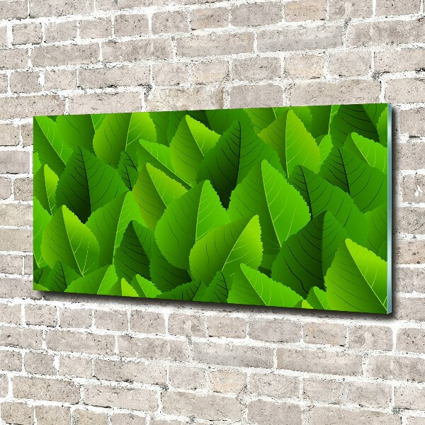 Acrylic print Green leaves