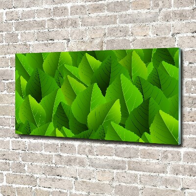 Acrylic print Green leaves