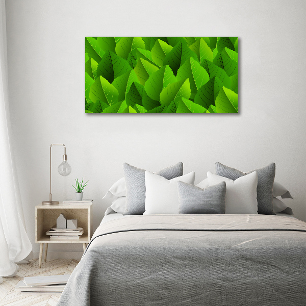 Acrylic print Green leaves