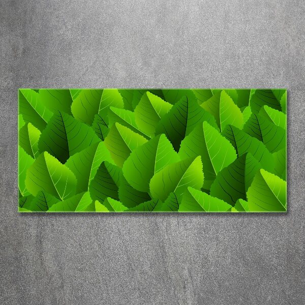 Acrylic print Green leaves